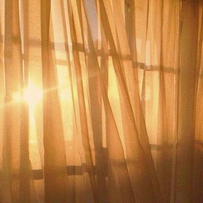 澳门4949资料免费大全app下载