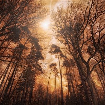 澳门风云电玩城安卓版特色