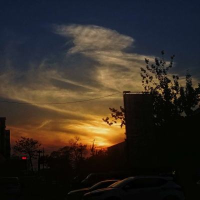 998娱乐彩票安卓APP手机app下载