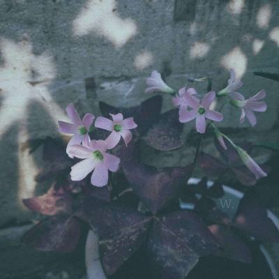 xk星空体育下载