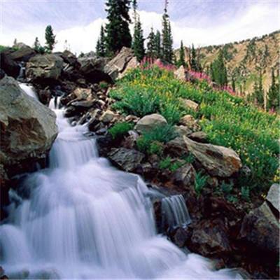 xk星空体育下载