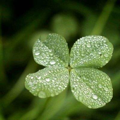 银河国际官网app下载