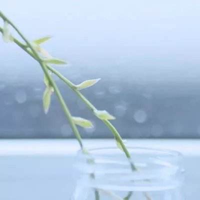 澳门风云电玩城安卓版特色